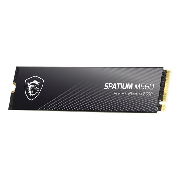MSI SPATIUM M560 (S78-440L0F0-P83)