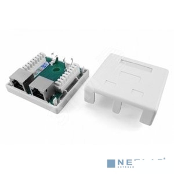 Hyperline SB1-2-8P8C-C6-SH-WH Розетка компьютерная RJ-45(8P8C), категория 6, экранированная, двойная, внешняя, Dual IDC