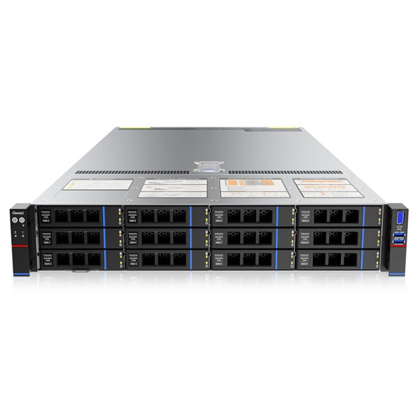 Gooxi SL201-D12R-G4