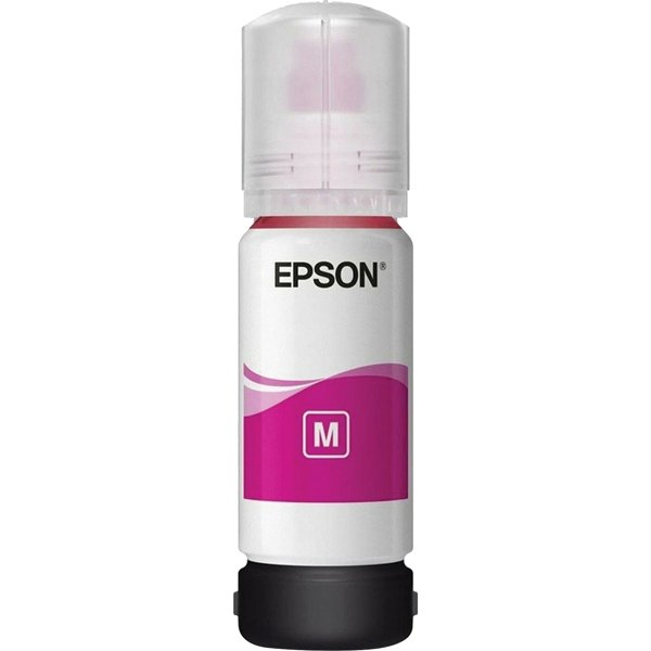 Epson C13T06C34A