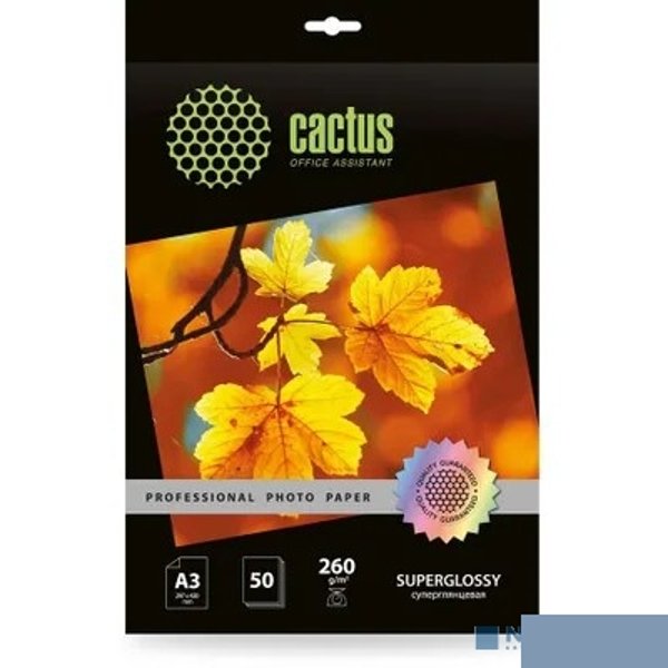 Фотобумага Cactus Prof, A3, для струйной печати, 50л, 260г/м2, белый, покрытие глянцевое [cs-hga326050]