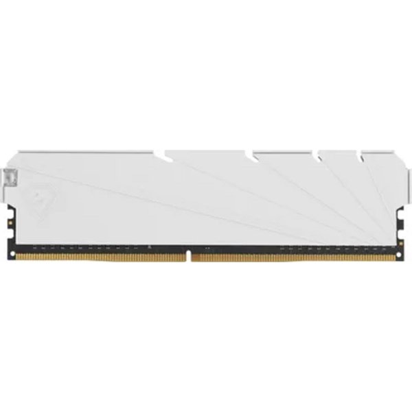 Netac DDR4 DIMM 8GB NTSSD4P32SP-08W PC4-25600, 3200MHz