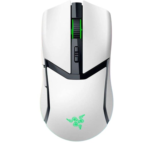 Razer RZ01-04660200-R3G1