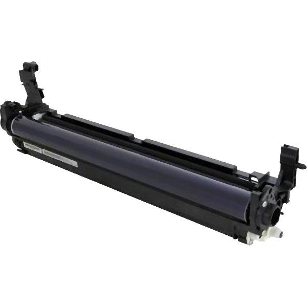 Ricoh D2442250