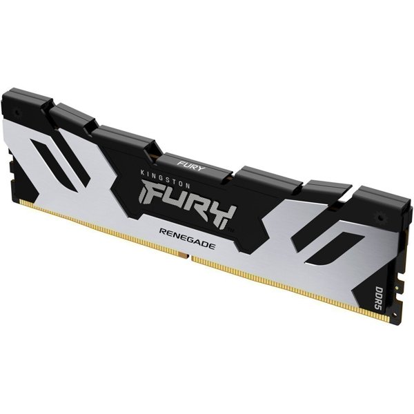 Kingston DDR5 DIMM 48Gb Fury Renegade Silver XMP KF560C32RS-48 6000МГц  Ret
