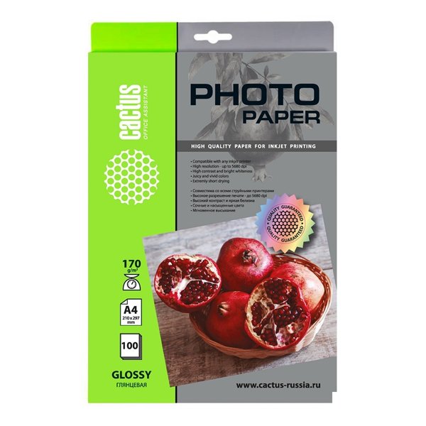 Фотобумага Cactus CS-GA4170100 A4/170г/м2/100л./белый глянцевое для струйной печати