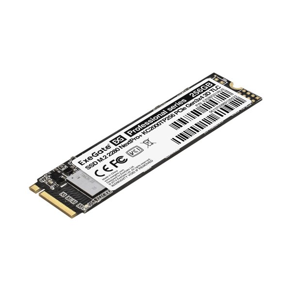 ExeGate SSD M.2 256GB NextPro+ EX282321RUS