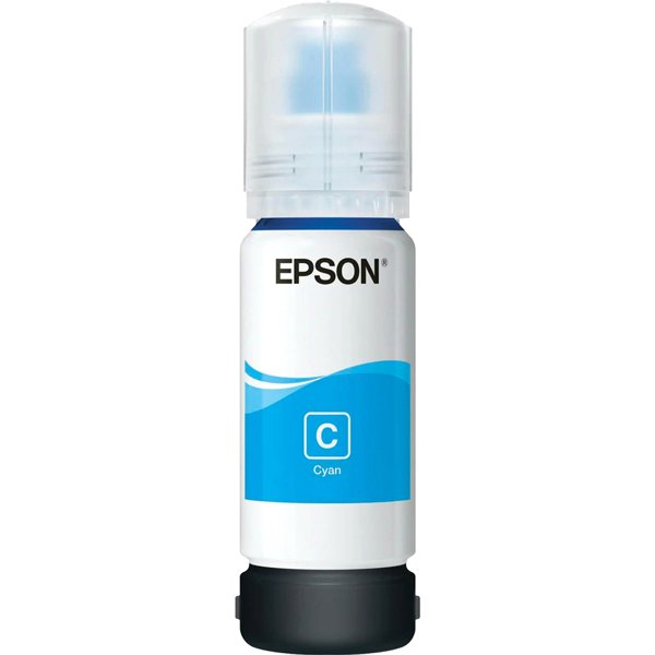 Epson C13T06C24A