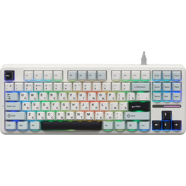 AULA F87 (6978080503800)
