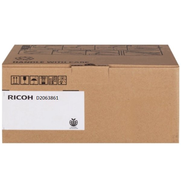 Ricoh D2063861