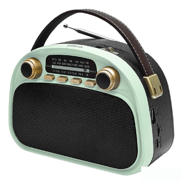 RITMIX RPR-040 MINT