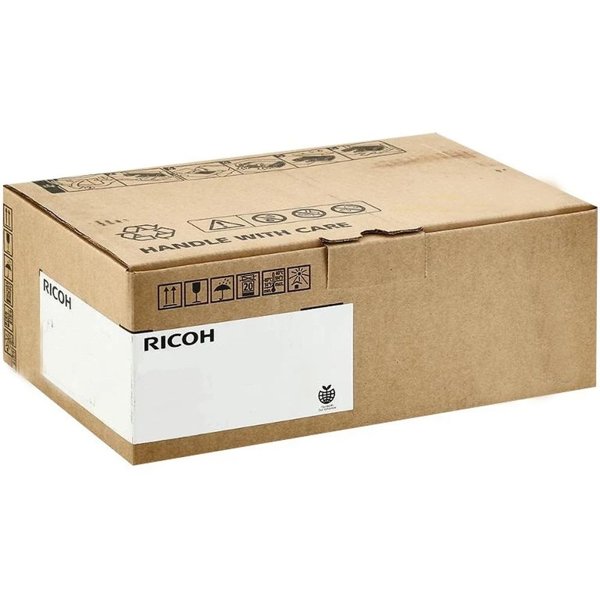 Ricoh D2582531