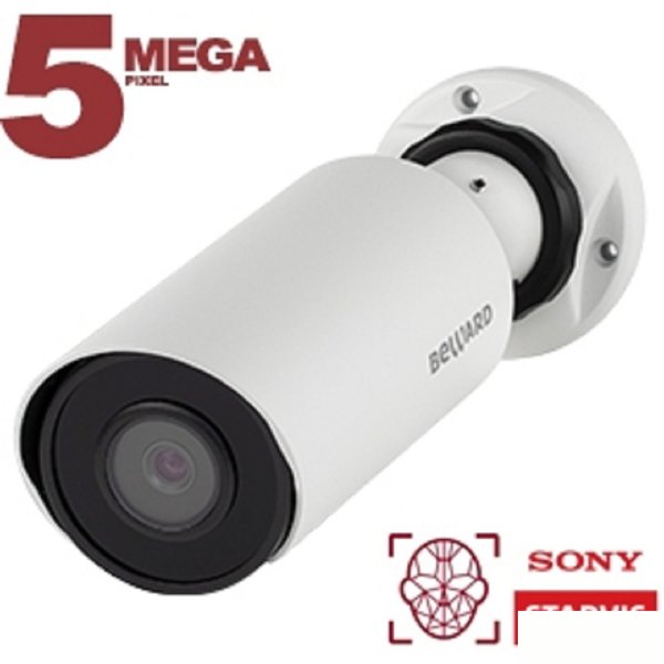 BEWARD SV3218R2 Уличная IP-Камера