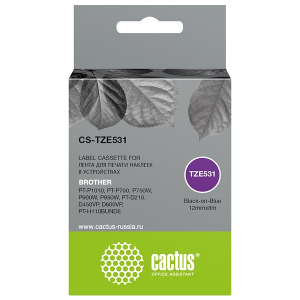Cactus CS-TZE531