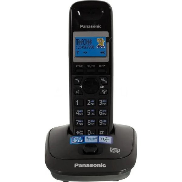 Panasonic KX-TG2521RUT (титан) {АОН, Caller ID,спикерфон,голосовой АОН,полифония,цифровой автоответчик}